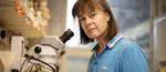 Ruth Palmer is appointed Wallenberg Scholar