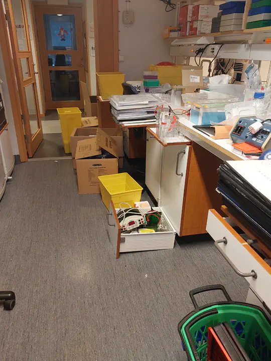 Moving Chaos