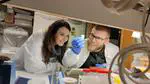 ATR inhibition enables complete tumour regression in ALK-driven NB mouse models